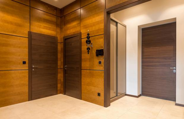 Flush Door
